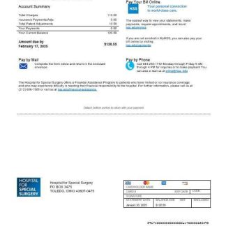 USA Ohio Hospital For Special Surgery business utility bill template in Word and PDF formats download template file