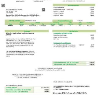 USA Ohio Lorain Medina Rural Electric business utility bill template in Word and PDF formats download template file