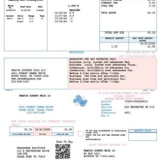 USA Texas Dasor Management and Investment business utility bill template in Word nd PDF formats download template file