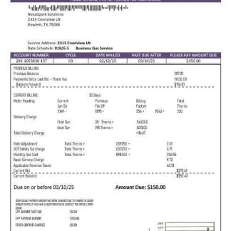 USA Texas Summer Energy easy fillable business utility bill template in Word and PDF formats download template file