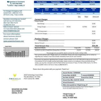 USA Texas TriEagle business utility bill template in Word and PDF formats download template file