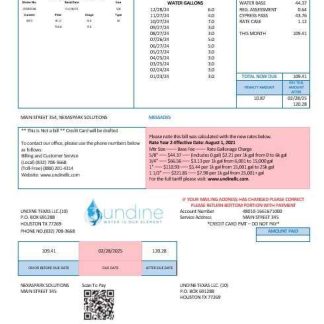 USA Texas Undine water is our element water business utility bill Word and PDF formats download template file