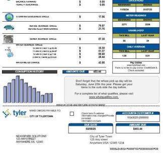 USA Tyler Technologies business utility bill template in Word and PDF formats download template file