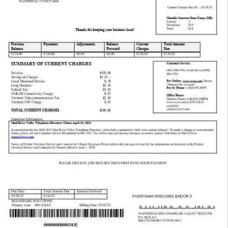 USA Waitsfield Telecom business utility bill template in Word and PDF formats download template file