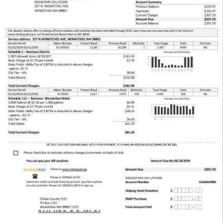 USA Washington Chelan County PUD business utility bill template in Word and PDF formats download template file