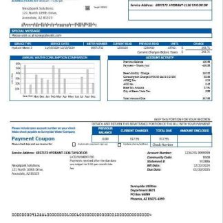 USA Washington Sunnyside Utilities water business utility bill template in Word and PDF formats download template file