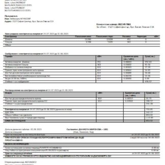 Bulgary electricity business bill, SCR download template file