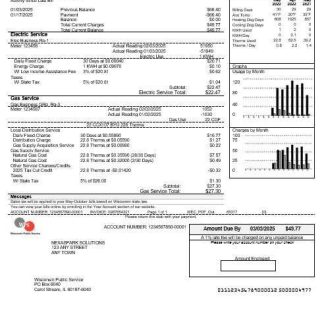 USA WPS business utility bill template in Word and PDF formats download template file