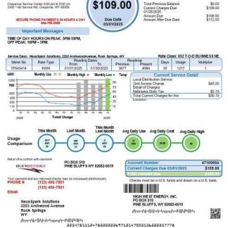 USA Wyoming High West Energy business utility bill in Word and PDF formats, version 2 download template file