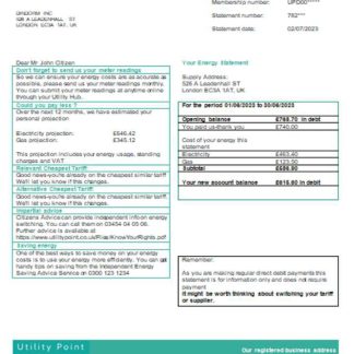Utility Point utility business bill, SCR download template file