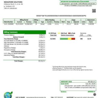 Uzbekistan GreenWorld business utility bill template in Word and PDF format, fully editable download template file