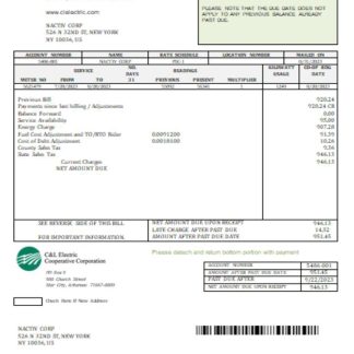 C & L Electric Cooperative Corporation utility business bill,SCR download template file