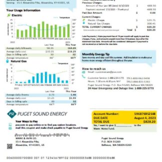 Washington Puget Sound Energy utility business bill, SCR download template file