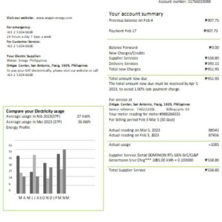 WeGen Energy Philippines utility business bill, SCR download template file