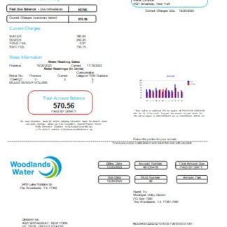 Woodlands Water utility business bill, SCR download template file