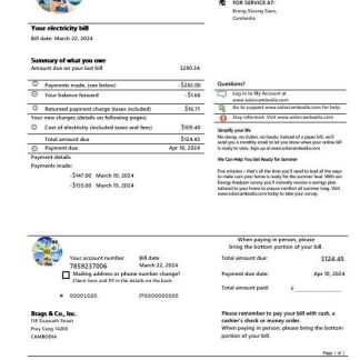 Cambodia Solar Green Energy Cambodia Co business utility bill template (2).doc download template file