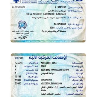 Lebanon vehicle registration card download template file