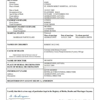 Guyana death certificate Word and PDF template download template file