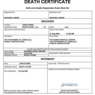 Hawaii death certificate Word and PDF template download template file