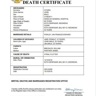 Indonesia vital record death certificate Word and PDF template download template file