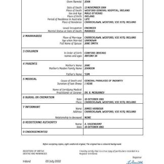 Ireland vital record death certificate Word and PDF template download template file