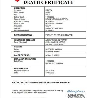 Lebanon death certificate Word and PDF template download template file