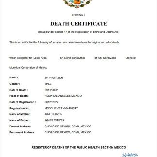 Mexico vital record death certificate Word and PDF template download template file