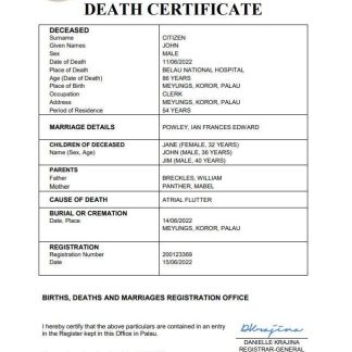 Palau vital record death certificate Word and PDF template download template file
