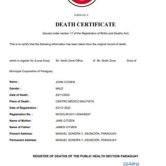 Paraguay death certificate Word and PDF template download template file