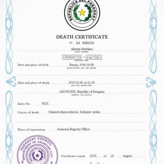 Paraguay vital record death certificate PSD template download template file