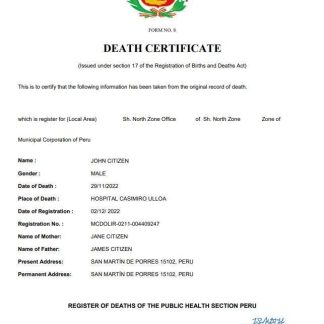 Peru vital record death certificate Word and PDF template download template file