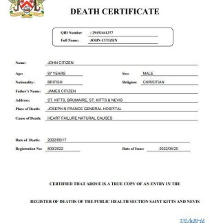 Saint Kitts and Nevis vital record death certificate Word and PDF template download template file