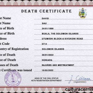 Solomon vital record death certificate PSD template download template file