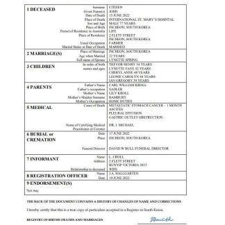 South Korea vital record death certificate Word and PDF template download template file