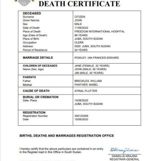 South Sudan vital record death certificate Word and PDF template download template file
