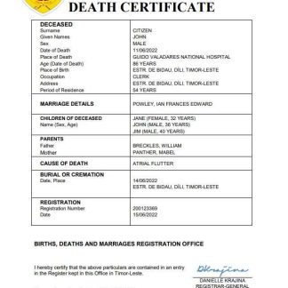 Timor Leste vital record death certificate Word and PDF template download template file