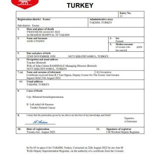 Turkey vital record death certificate Word and PDF template download template file