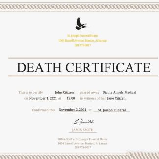 USA Certificate of Death download template file