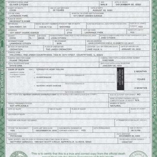 USA Illinois state death certificate template in PSD format download template file