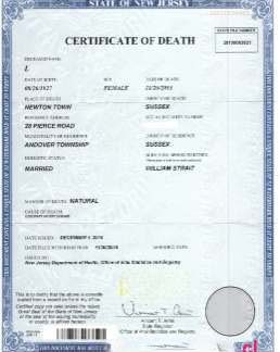 USA New Jersey certificate of death download template file