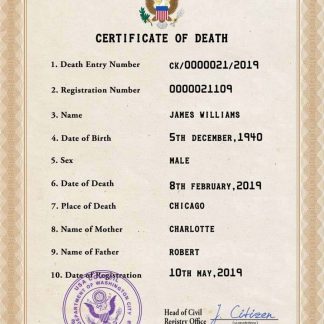 USA vital record death certificate PSD template download template file