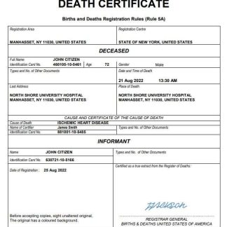 USA vital record death certificate Word and PDF template download template file
