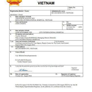 Vietnam vital record death certificate Word and PDF template download template file