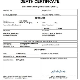 Dominica vital record death certificate Word and PDF template download template file