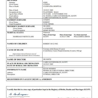 Egypt vital record death certificate Word and PDF template download template file