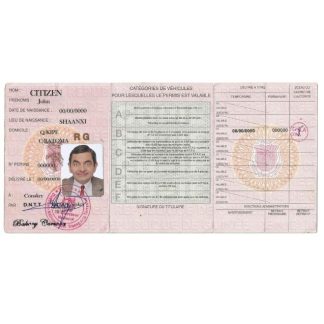 Guinea Driving License download template file