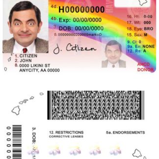 Hawaii Driving License download template file