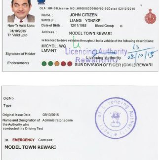 India Driving License version 5 download template file