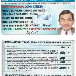 INTERNATIONAL TRANSLATION OF DRIVERS LICENSE download template file