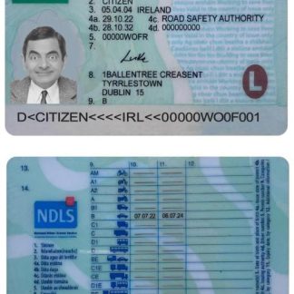 IRELAND Driving License (learner permit) 2022 present download template file